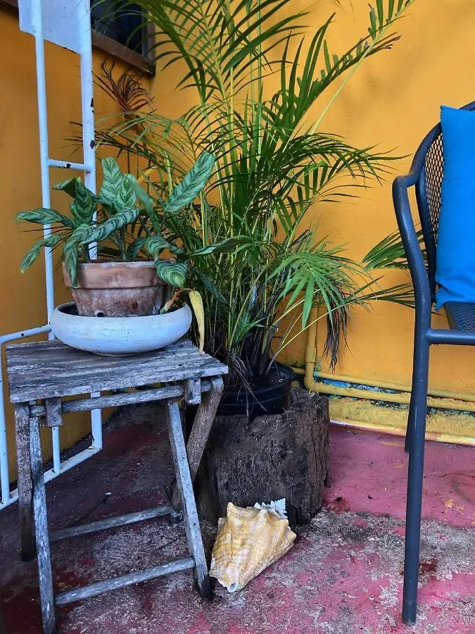 Bnb Somom Mobay Lodging Montego Bay Pensjonat