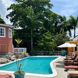 The Blue Orchid Bed & Breakfast